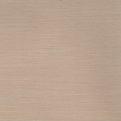 Российские обои Yana Svetlova Wallcoverings, коллекция Silk + Cotton, артикул T-S/C-22