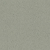 Российские обои Yana Svetlova Wallcoverings, коллекция Urban Suede, артикул SE801-05