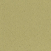 Российские обои Yana Svetlova Wallcoverings, коллекция Urban Suede, артикул SE801-06