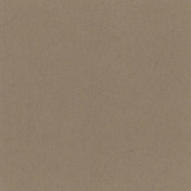 Российские обои Yana Svetlova Wallcoverings, коллекция Urban Suede, артикул SE801-13