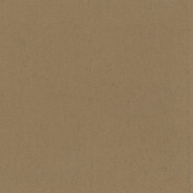 Российские обои Yana Svetlova Wallcoverings, коллекция Urban Suede, артикул SE801-14