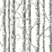 Обои YORK Black&White Resource Library BW3902