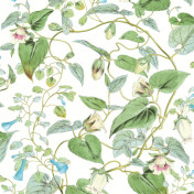 Обои York Blooms Second Edition BL1711