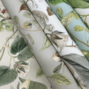 Обои York Blooms Second Edition BL1711