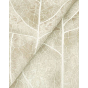 Обои York Candice Olson Natural Discovery NT6144