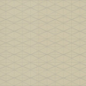 Обои YORK Contract Binder vol.1 IB1162