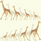 Обои York Dwell Studio Baby + Kids DW2361