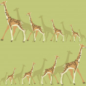 Обои York Dwell Studio Baby + Kids DW2364