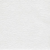 Обои YORK Fabulous Finishes 8 Gallery FF8038