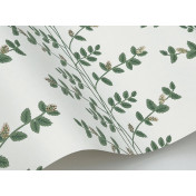 Обои York Rifle Paper Co 3rd Edition RF7424