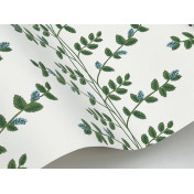 Обои York Rifle Paper Co 3rd Edition RF7425