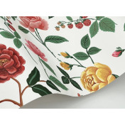 Обои York Rifle Paper Co 3rd Edition RF7546