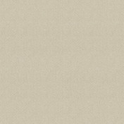 Обои YORK Snapshots AB2136