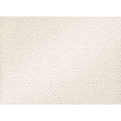 Английские обои Zinc, коллекция Escape, артикул ZW119/01