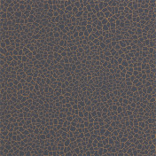 Английские обои Zoffany, коллекция Akaishi, артикул 312531