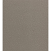 Обои Zoffany Oblique 312527