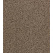 Обои Zoffany Oblique 312529