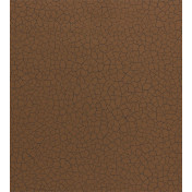 Обои Zoffany Oblique 312530