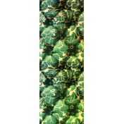 Французские обои Zuber, коллекция Documents XXVII, артикул 4860/Damas capitonne