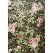 Французские обои Zuber, коллекция Roses Anciennes, артикул ROSES-ANCIENNES-P-11