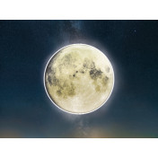 La Stanza Tesoro 01530 gold