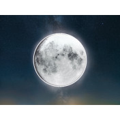 La Stanza Tesoro 01531 silver