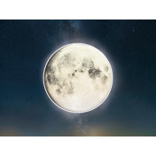 La Stanza Tesoro 01532 champagne