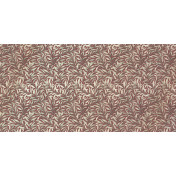 La Stanza Tesoro 01608 champagne