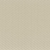 Французская ткань Camengo, коллекция Evanescence, артикул A49280301