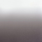 Французская ткань Camengo, коллекция Totem Sheers, артикул 44960650