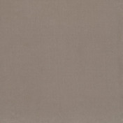 Французская ткань Casamance, коллекция Ambre, артикул 35190380