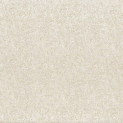 Французская ткань Casamance, коллекция Manali, артикул 11040125