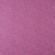 Французская ткань Caselio, коллекция Lena, артикул LEN62244159