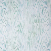 Французская ткань Caselio, коллекция Scenario, артикул SCE66046070