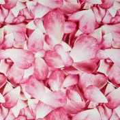 Французская ткань Caselio, коллекция Scenario, артикул SCE66054000