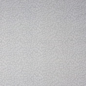 Французская ткань Caselio, коллекция Scenario, артикул SCE66109106