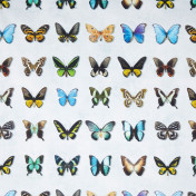 Французская ткань Caselio, коллекция Scenario, артикул SCE66126015