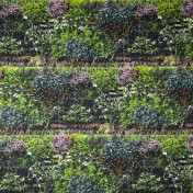 Французская ткань Caselio, коллекция Scenario, артикул SCE66147073