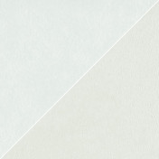 Английская ткань Christian Lacroix, коллекция Atelier Camargue, артикул FCL2270/17