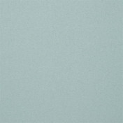 Английская ткань Christian Lacroix, коллекция Atelier, артикул FCL055/07