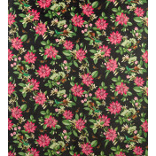 Английская ткань Clarke & Clarke, коллекция Botanical Wonders, артикул F1588/02