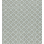 Английская ткань Clarke & Clarke, коллекция Amara, артикул F0957/03