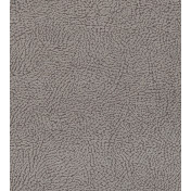 Английская ткань Clarke & Clarke, коллекция Avalon, артикул F1322/02