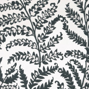 Английская ткань Clarke & Clarke, коллекция Black + White, артикул F0488/01