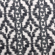 Английская ткань Clarke & Clarke, коллекция Black + White, артикул F0877/01