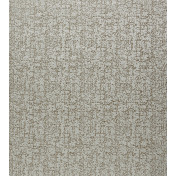 Английская ткань Clarke & Clarke, коллекция Colony, артикул F1001/01