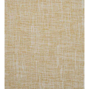 Английская ткань Clarke & Clarke, коллекция Electro, артикул F1142/02