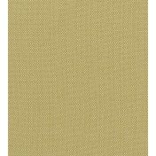 Английская ткань Clarke & Clarke, коллекция Exotica, артикул F1299/03