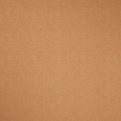 Английская ткань Clarke & Clarke, коллекция Harris FR Blackout, артикул F1199/70