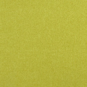 Английская ткань Clarke & Clarke, коллекция Highlander 2, артикул F0848/35